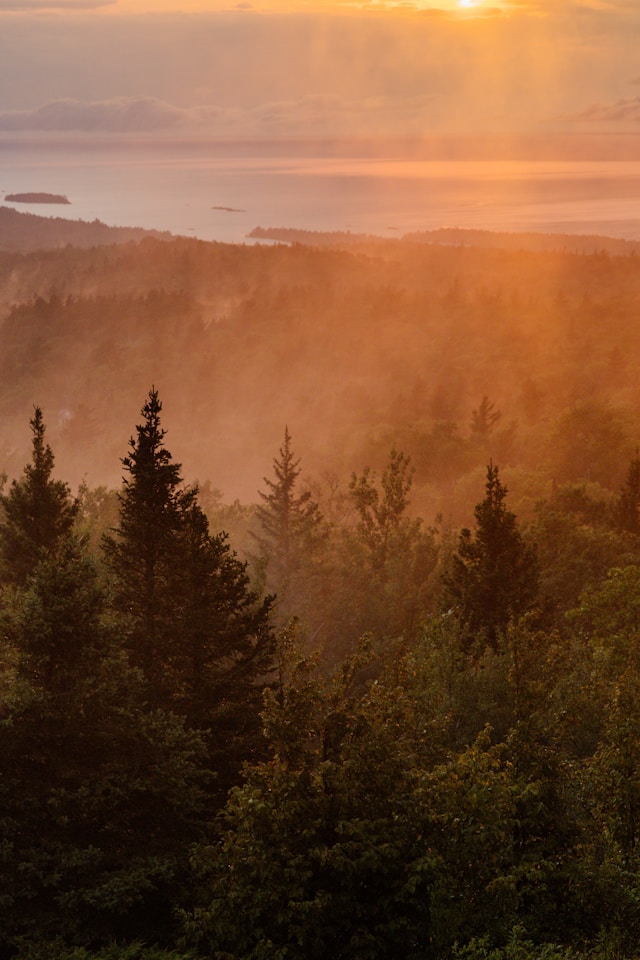 hans kfqjbryawmw unsplash