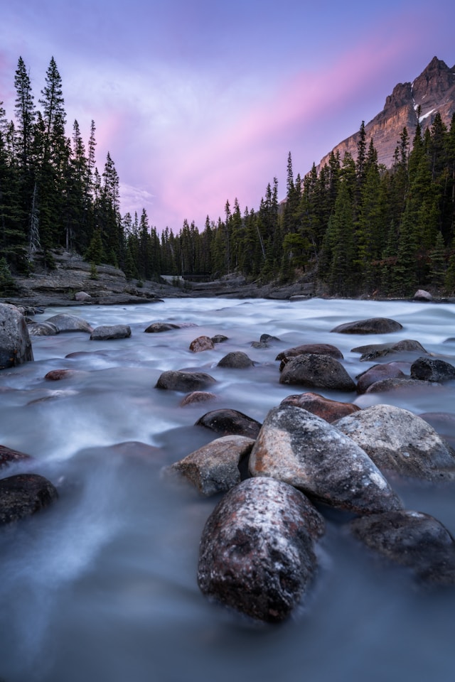 david becker oh duzw6vnm unsplash